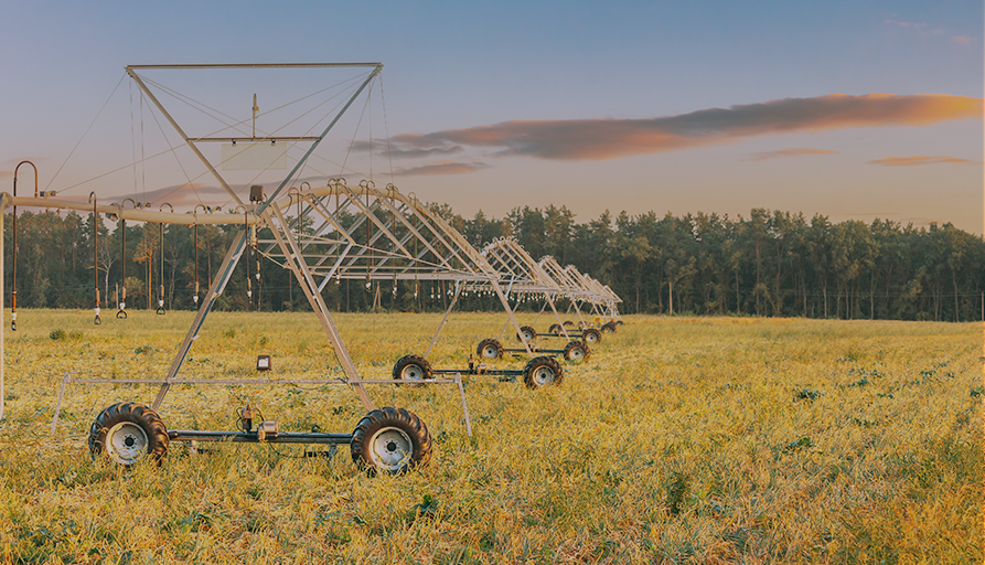 Water trends in agricultural irrigation for 2024: sustainability through digitalization Water trends in agricultural irrigation for 2024: sustainability through digitalization