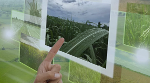Water trends in agricultural irrigation