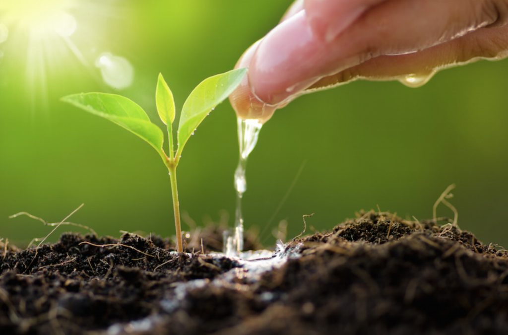 Data integration, key to the future of smart irrigation
