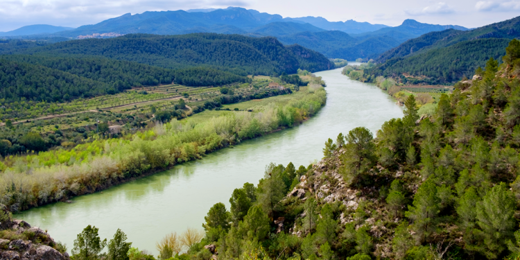 CHE Ebro