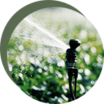 GOAIGUA_Irrigation-150x150