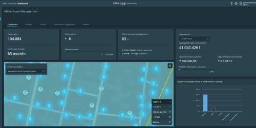 meter asset management water